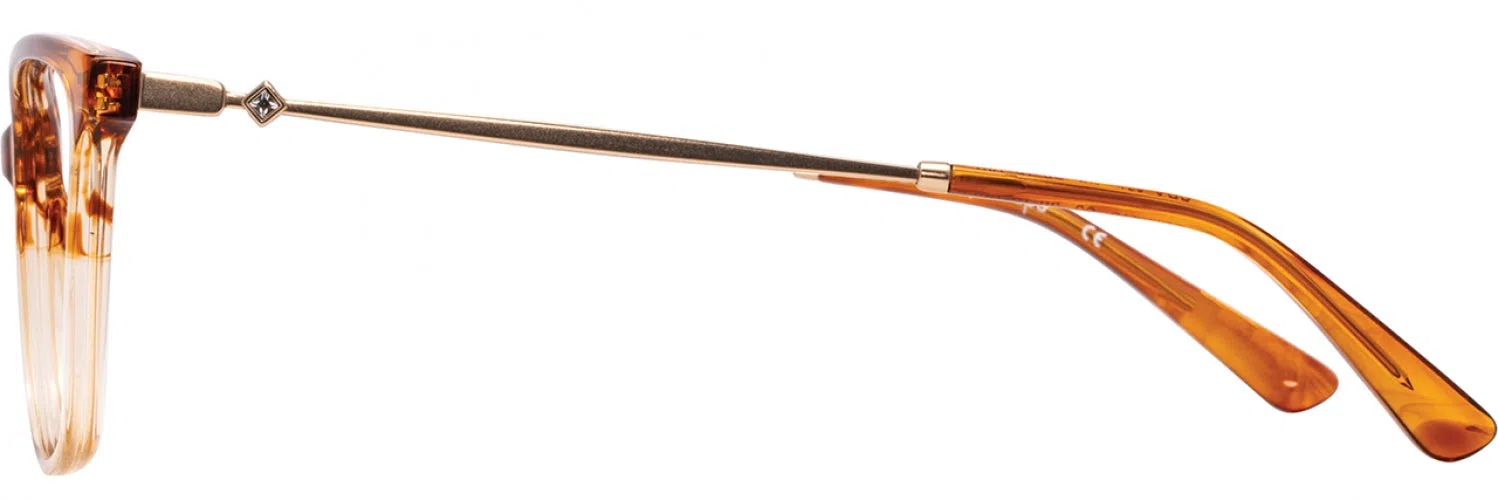 Cote DAzur CDA416 Eyeglasses - view 11